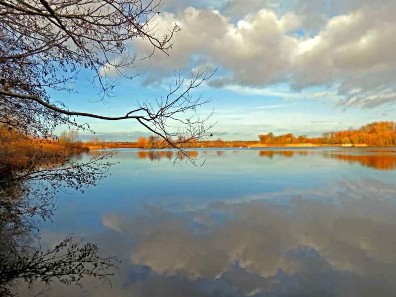 octagon park pond.jpg